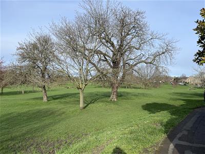 Picture 26